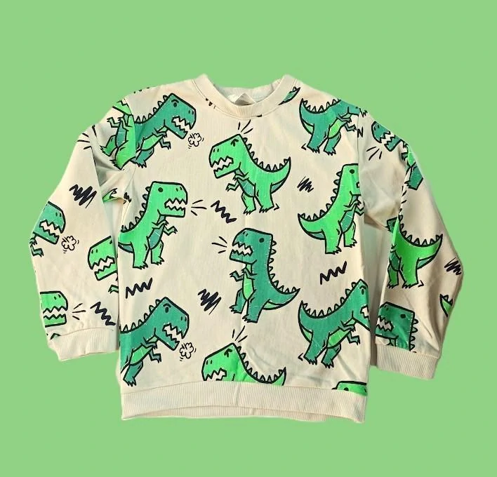 tepláková mikina s dinosaury - H&M